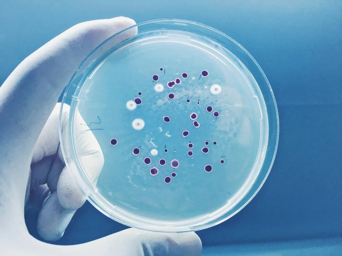 Antibiotika und Pilzinfektionen: Wenn das natürliche Gleichgewicht aus dem Takt gerät